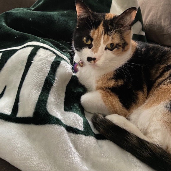 Meet your Posher, Tina - Picture 3 of 4